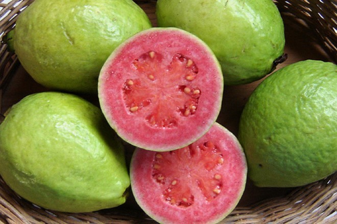 Kết quả hình ảnh cho Qủa ổi