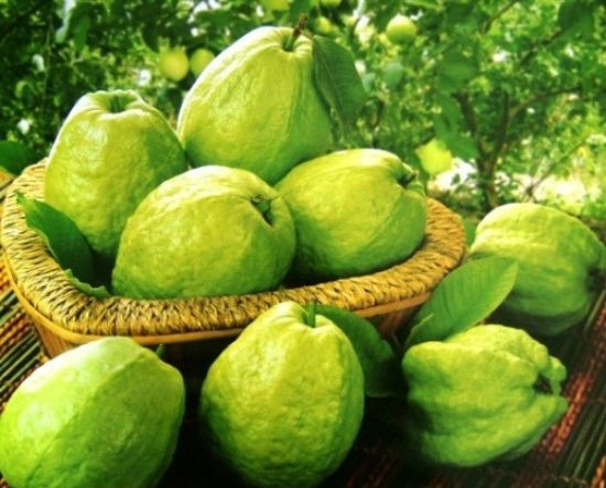Hình ảnh có liên quan