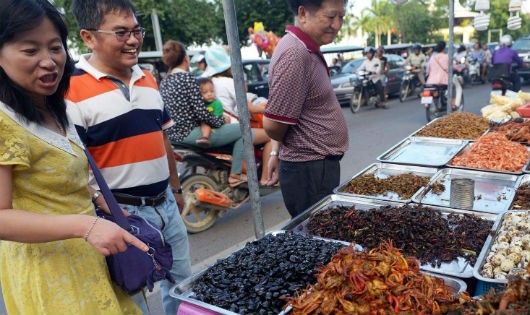 Quầy hàng chế biến món ăn từ côn trùng