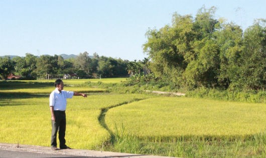 Ông Nguyễn Quốc Thành bên cánh đồng bị giặc phục kích năm 1971