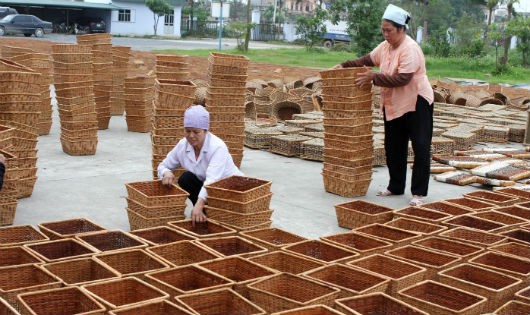 Ảnh minh họa: Trần Việt