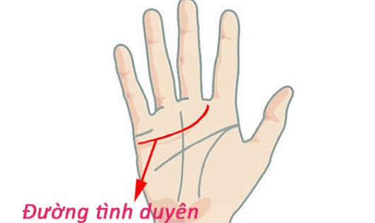 Nhìn tướng tay đoán vận mệnh phú quý sang hèn theo quan niệm cổ nhân Kỳ 14