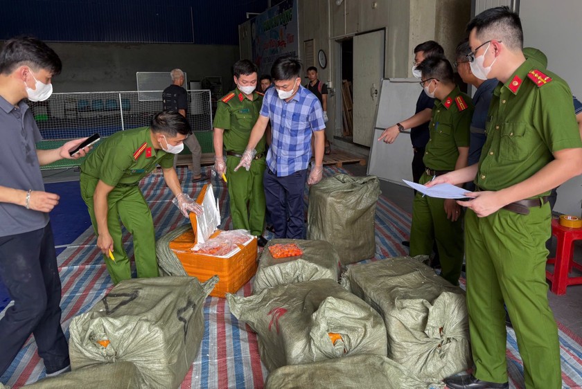 Thu giữ hơn 20 tấn hàng đông lạnh không rõ nguồn gốc tại Nam Định